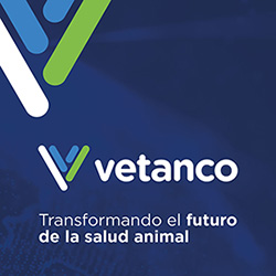 Vetanco – Dysantic