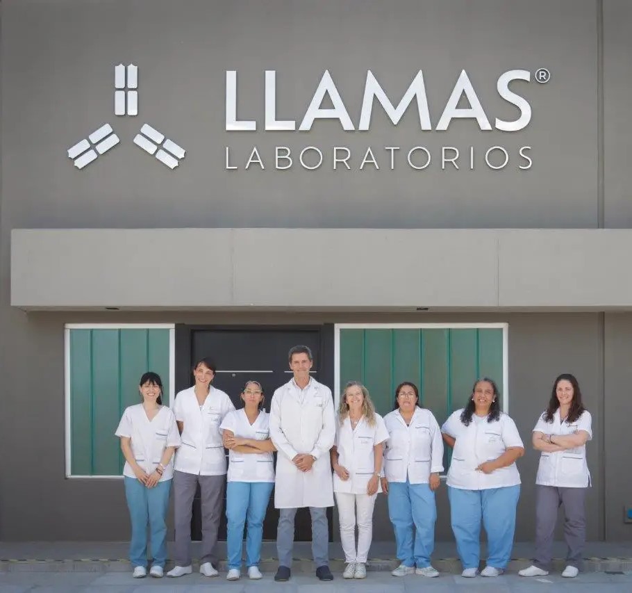 Laboratorio Llamas