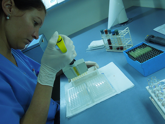 LABORATORIO LLAMAS