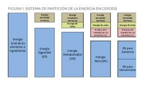 cuadro 1