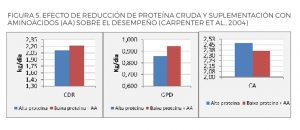 cuadro 5