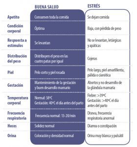 maternidad 1