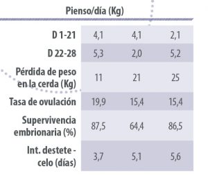 maternidad 2