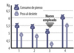 maternidad 3