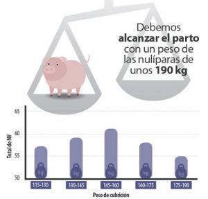 maternidad 4
